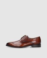 Liam PD - Brown